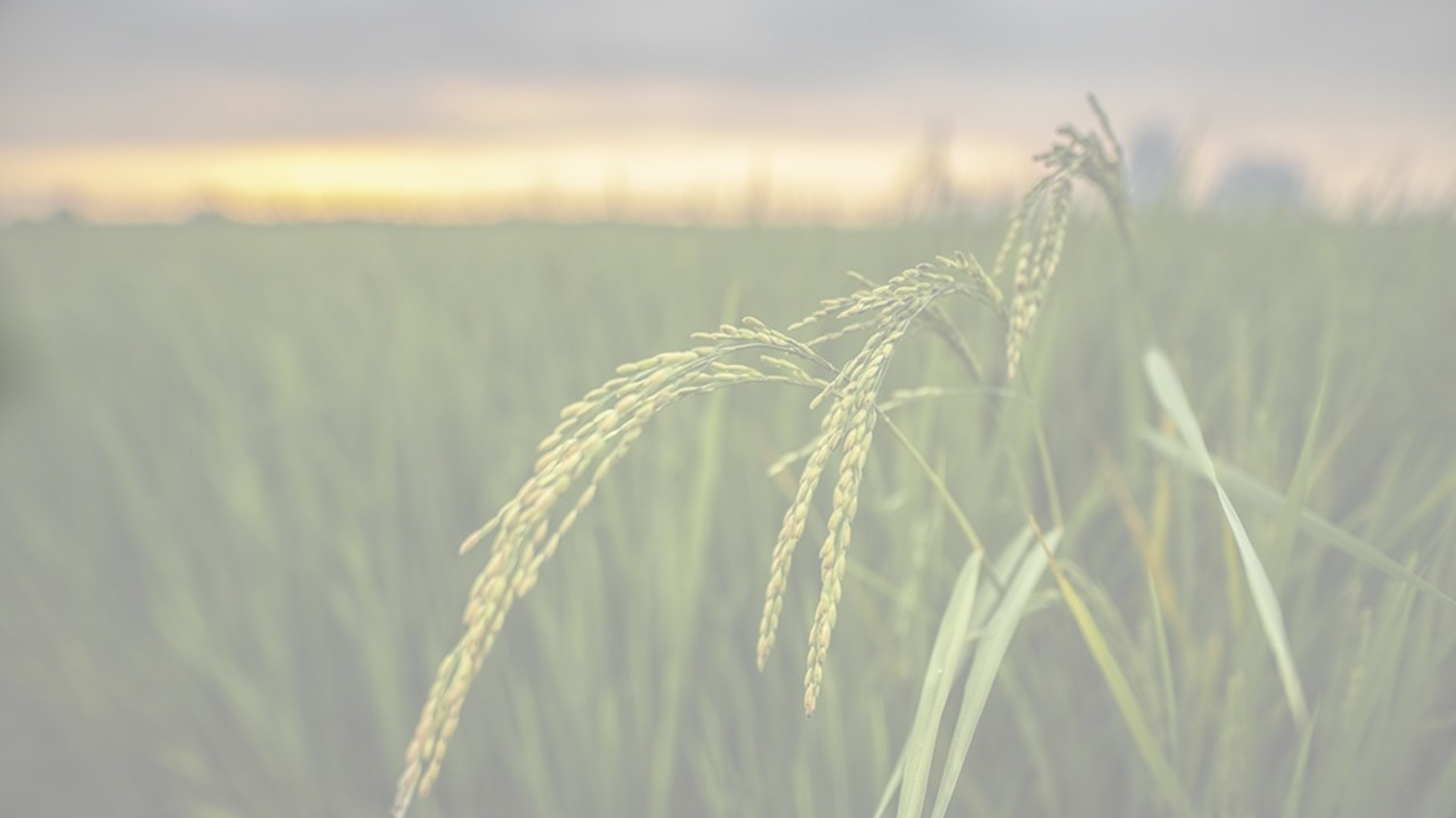 Let the first stage anchor firmly!