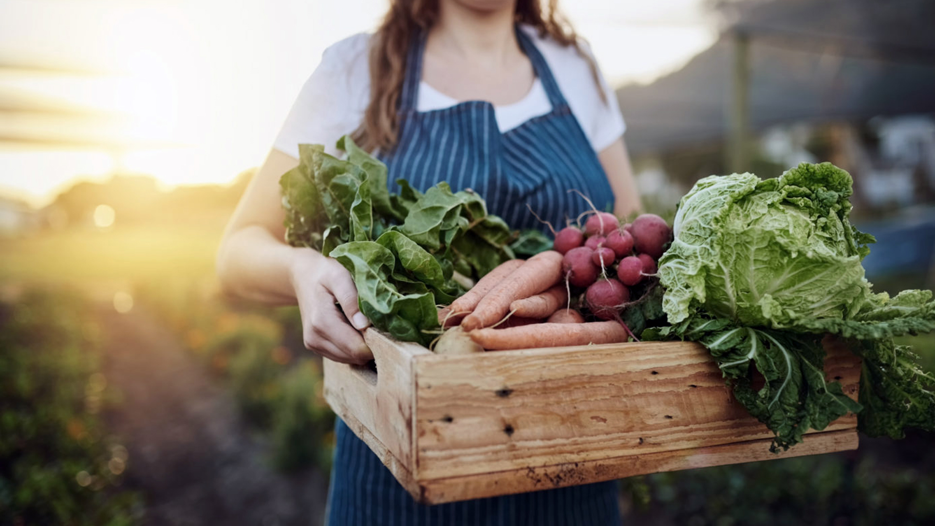 Let the first stage anchor firmly!