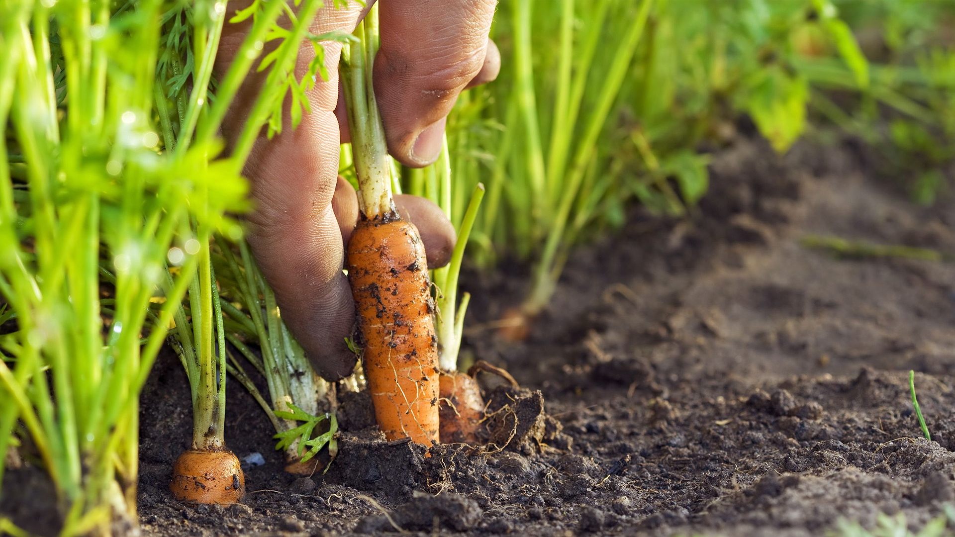 Let the first stage anchor firmly!