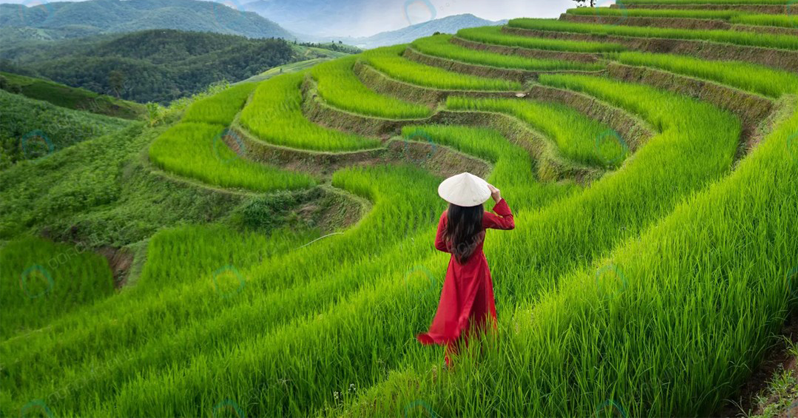 می خواهیم کیفیت را برایتان تعریف کنیم! می خواهیم کیفیت را برایتان تعریف کنیم!