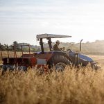 Dual-purpose mill project