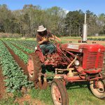 Agricultural land project