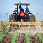 Agricultural land project 2