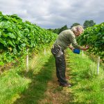 Agricultural land project 3